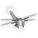 Silver Dragonfly